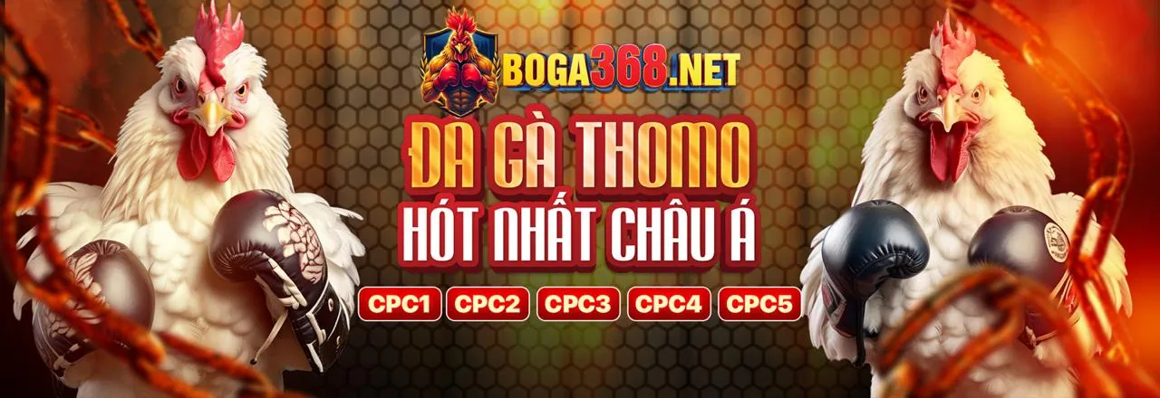 Chương trình VIP độc quyền của 98win bet