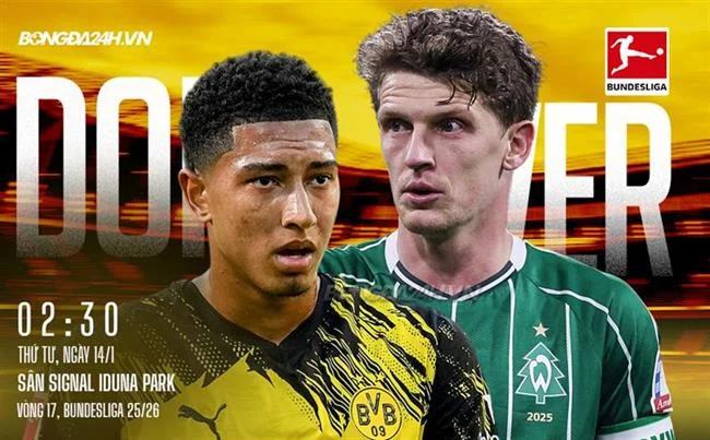 Đá gà trực tiếp 98win bet